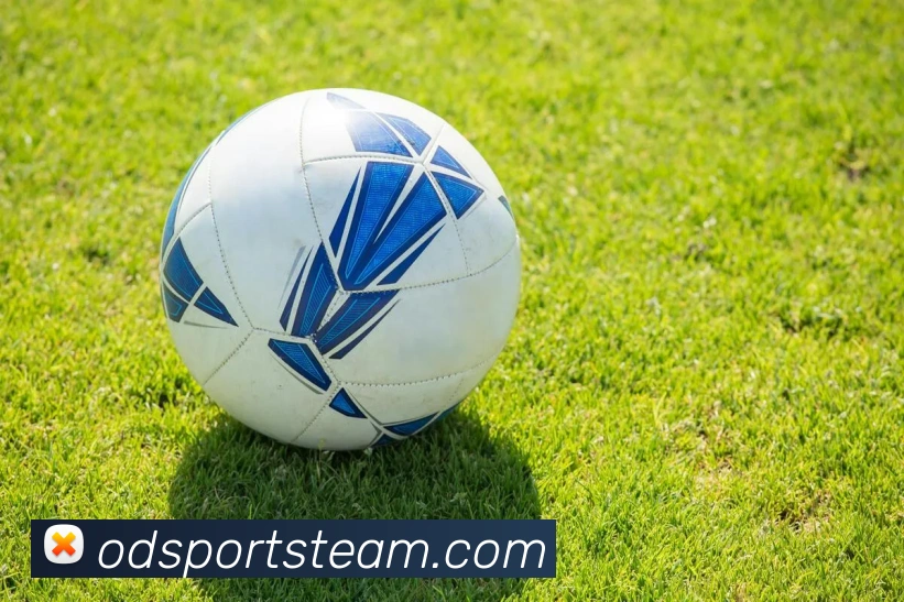 OD体育平台生态图